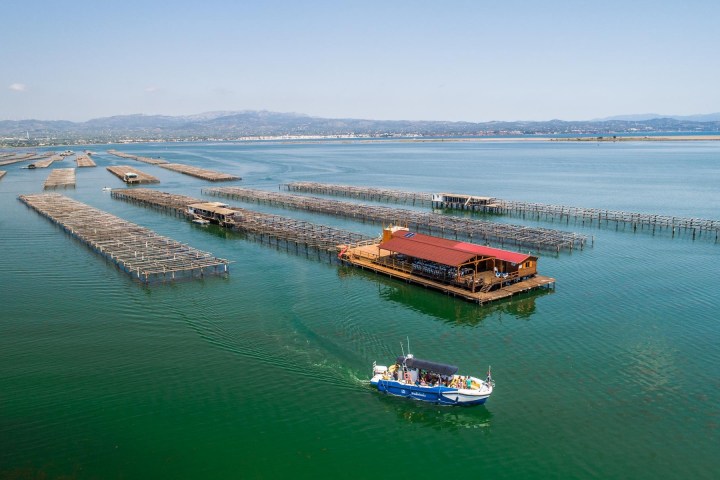 Boat sailing near floating oyster farms on a calm, scenic lake with mountains in the background.
