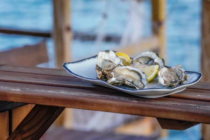 Plate of oysters with lemon wedges on a wooden table by the sea.