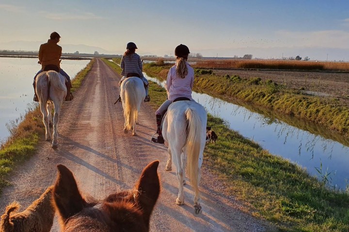 Three people riding horses on a dirt path beside water at sunset.
