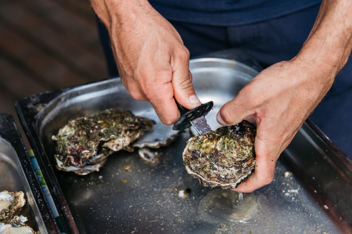 Person shucking oysters with a knife over a metal tray.