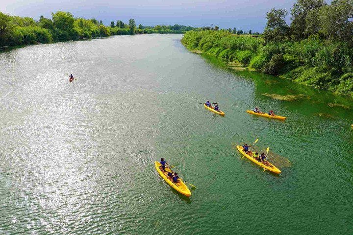 Several kayakers paddling on a wide, green river surrounded by lush greenery.
