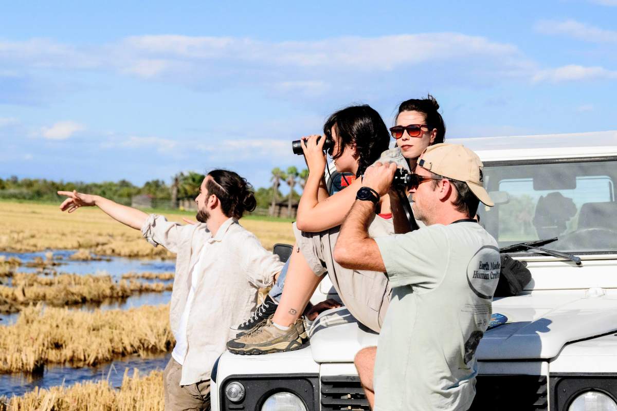 Group of people on safari, one pointing, others using binoculars.